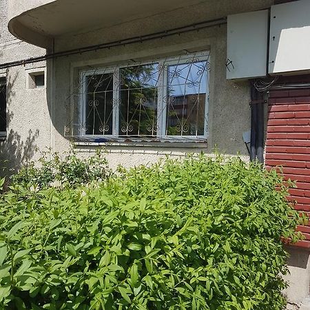 Apartamente Marian Brasov Phòng bức ảnh