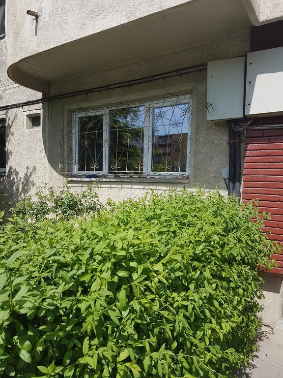 Apartamente Marian Brasov Phòng bức ảnh